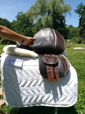 16" Collegiate General Purpose Saddle
