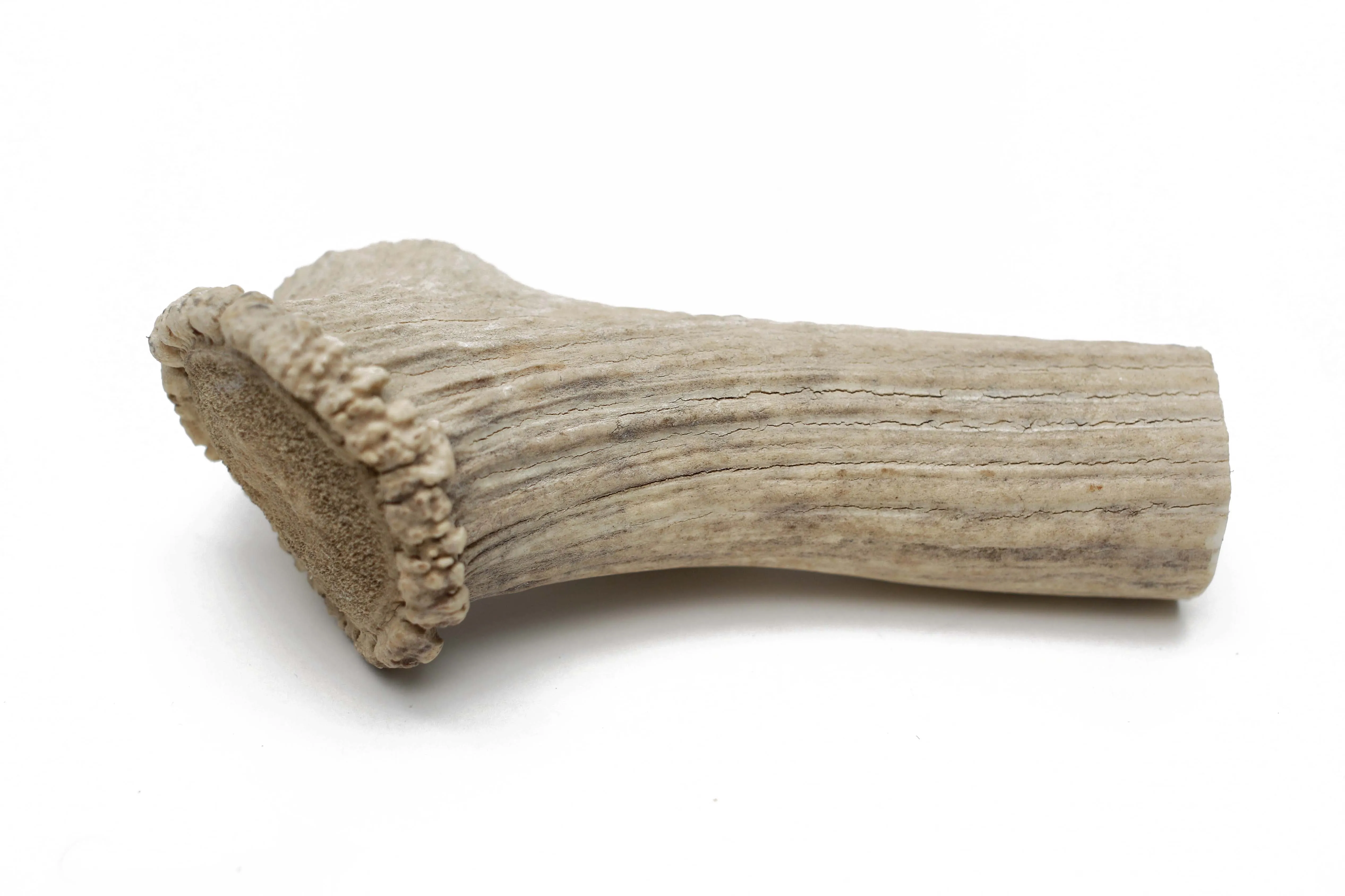 Antlers - All-Natural USA Made Dog Chews