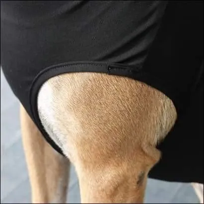BeneFab Therapeutic Canine Comfort Shirt- X-Small, and X-Large