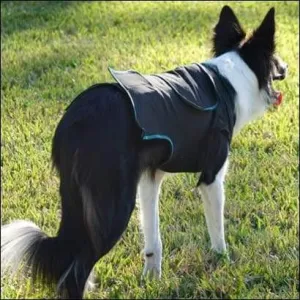 BeneFab Therapeutic Canine Comfort Shirt- X-Small, and X-Large