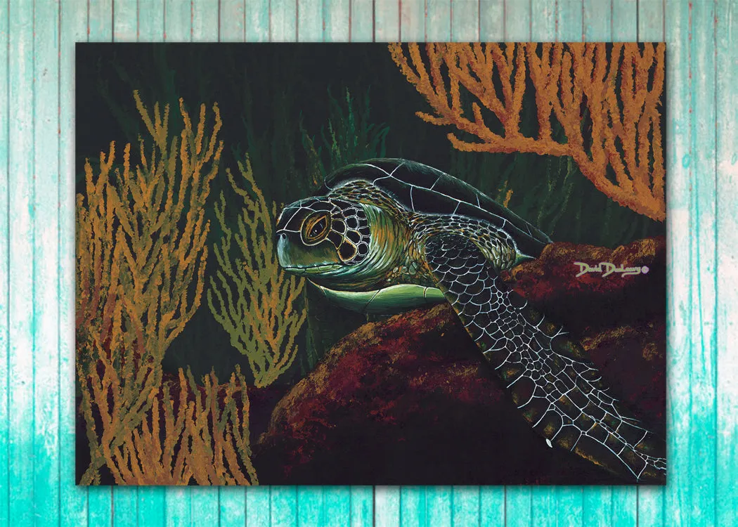 Black Sea Turtle