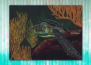 Black Sea Turtle
