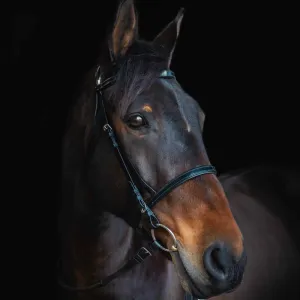 Cameo Equine Biothane Bridle - Padded & No-Leather Care Needed