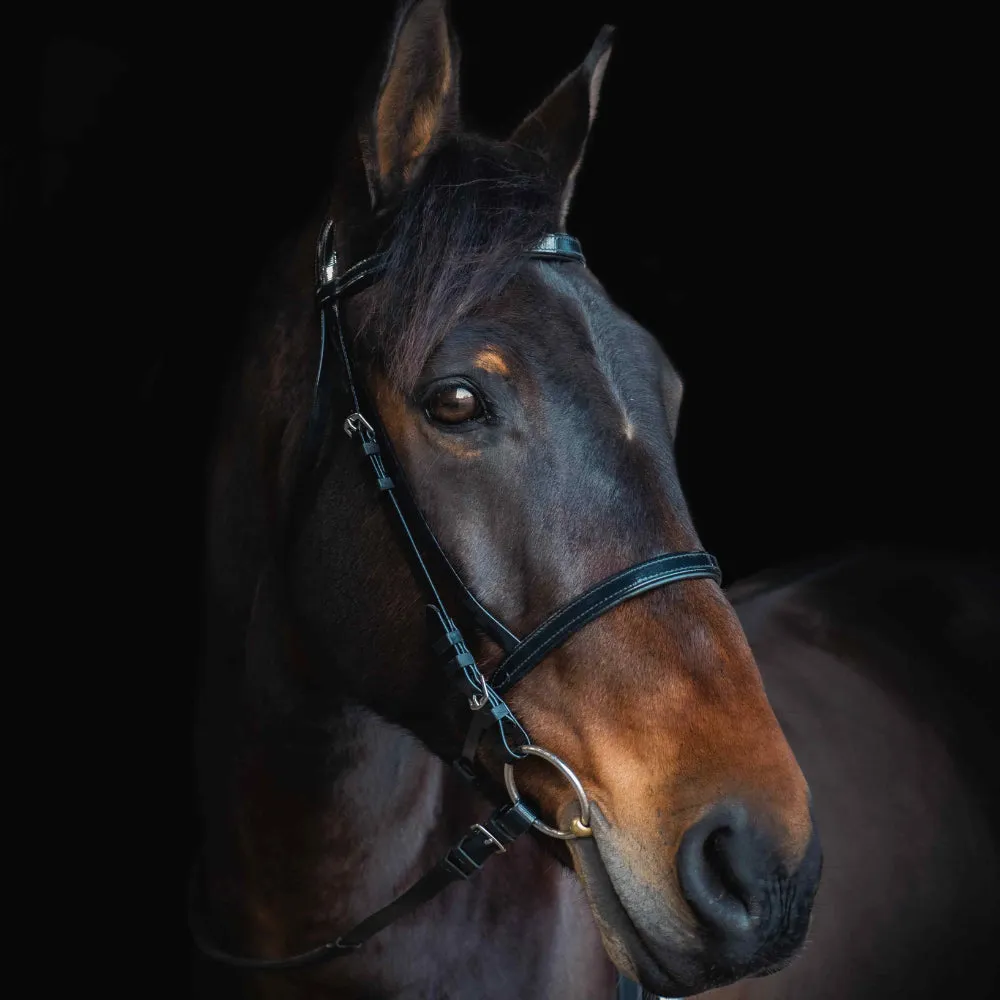 Cameo Equine Biothane Bridle - Padded & No-Leather Care Needed