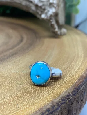 Destiny Smooth Framed Turquoise Ring