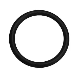 Dive Rite Qrm - O-Ring