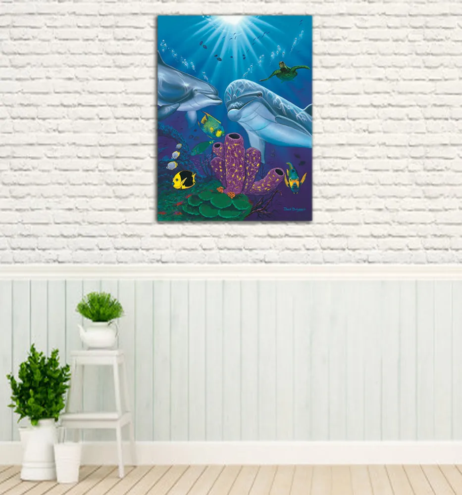 Dolphin Reef