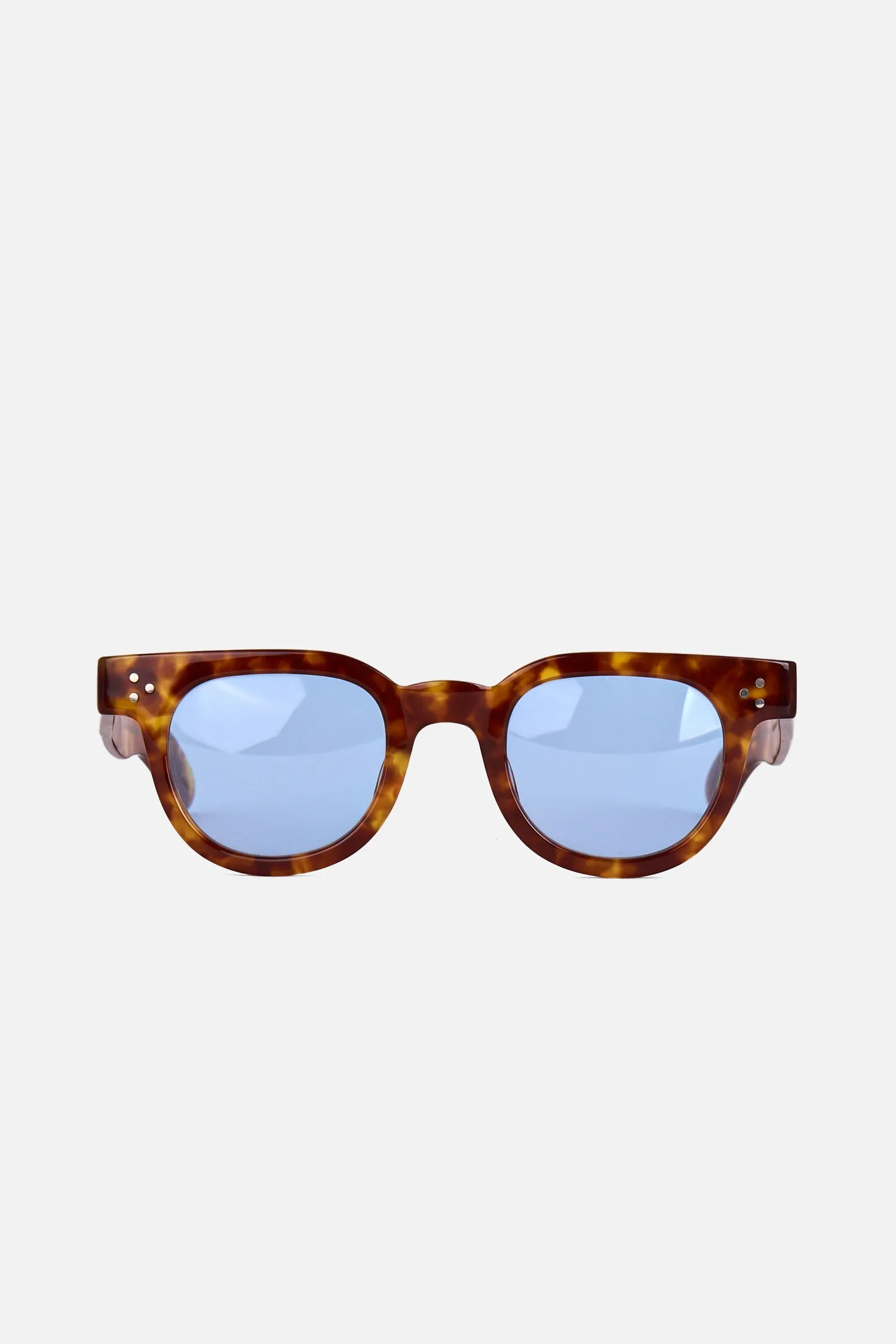 FDR 46 (Light Tortoise / Light Blue)