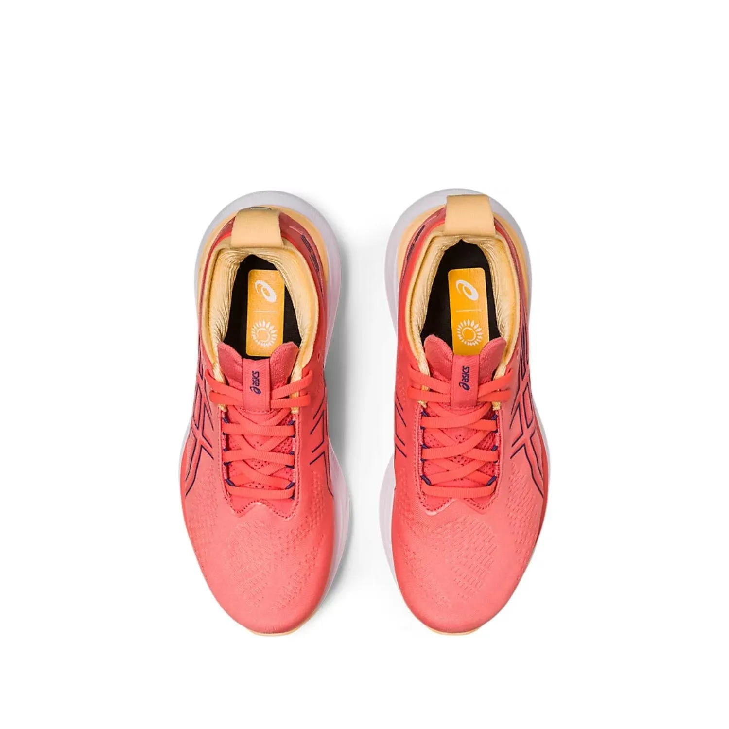 Gel-Nimbus 25