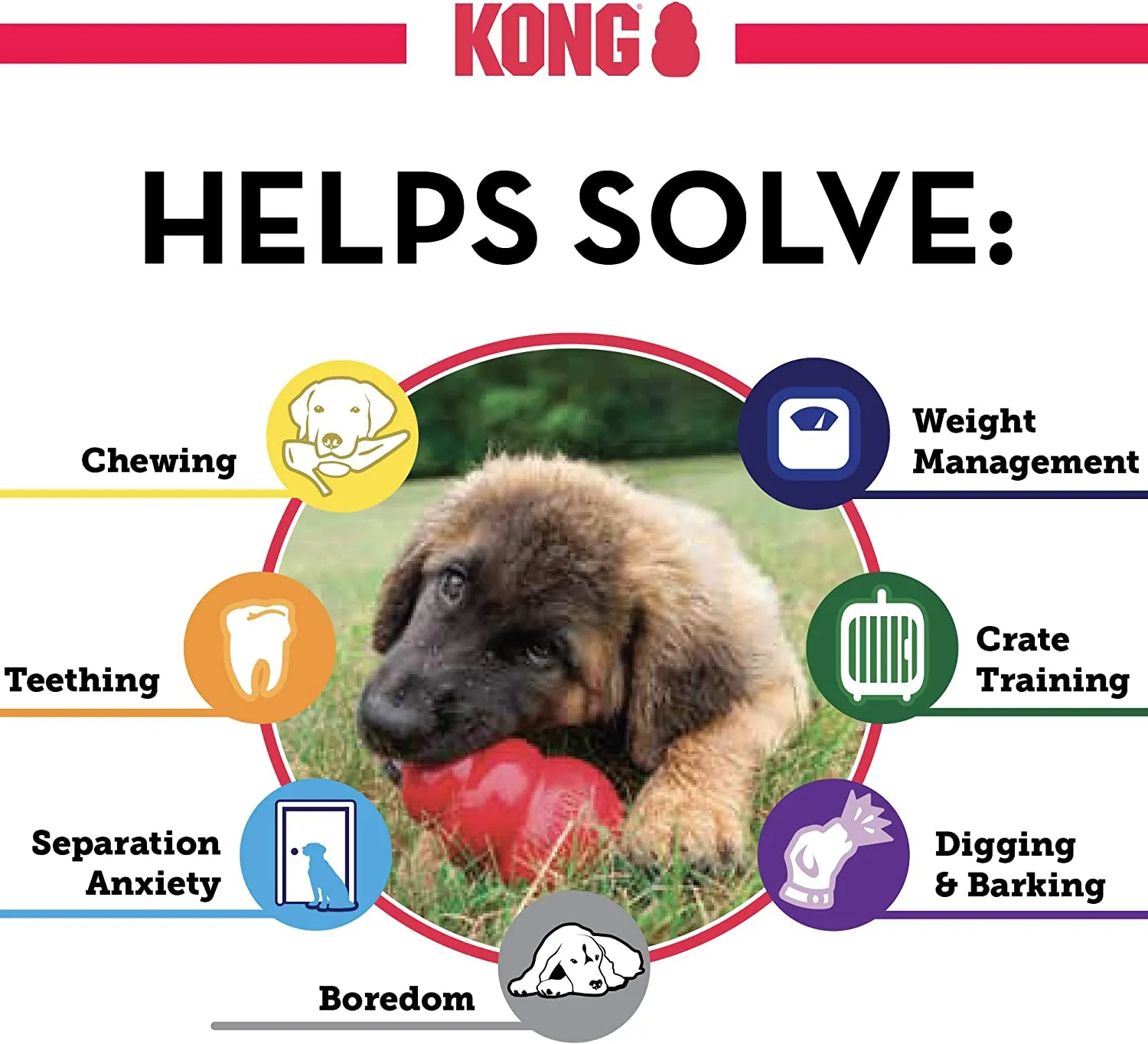 Kong Puppy