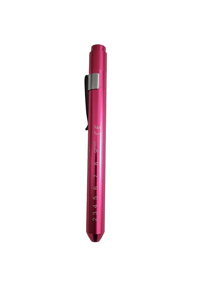 Medical Penlight with Pupil Gauge