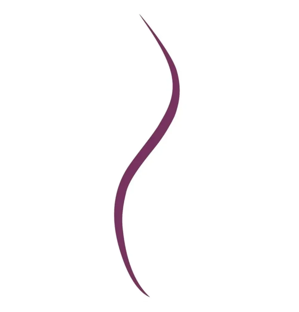 Pack of 2 L'Oreal Le Liner Signature Smooth Glide Mechanical Eyeliner, Violet Wool 755