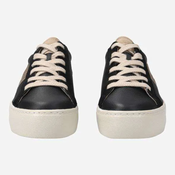 Paul Green 5430037-Trainer