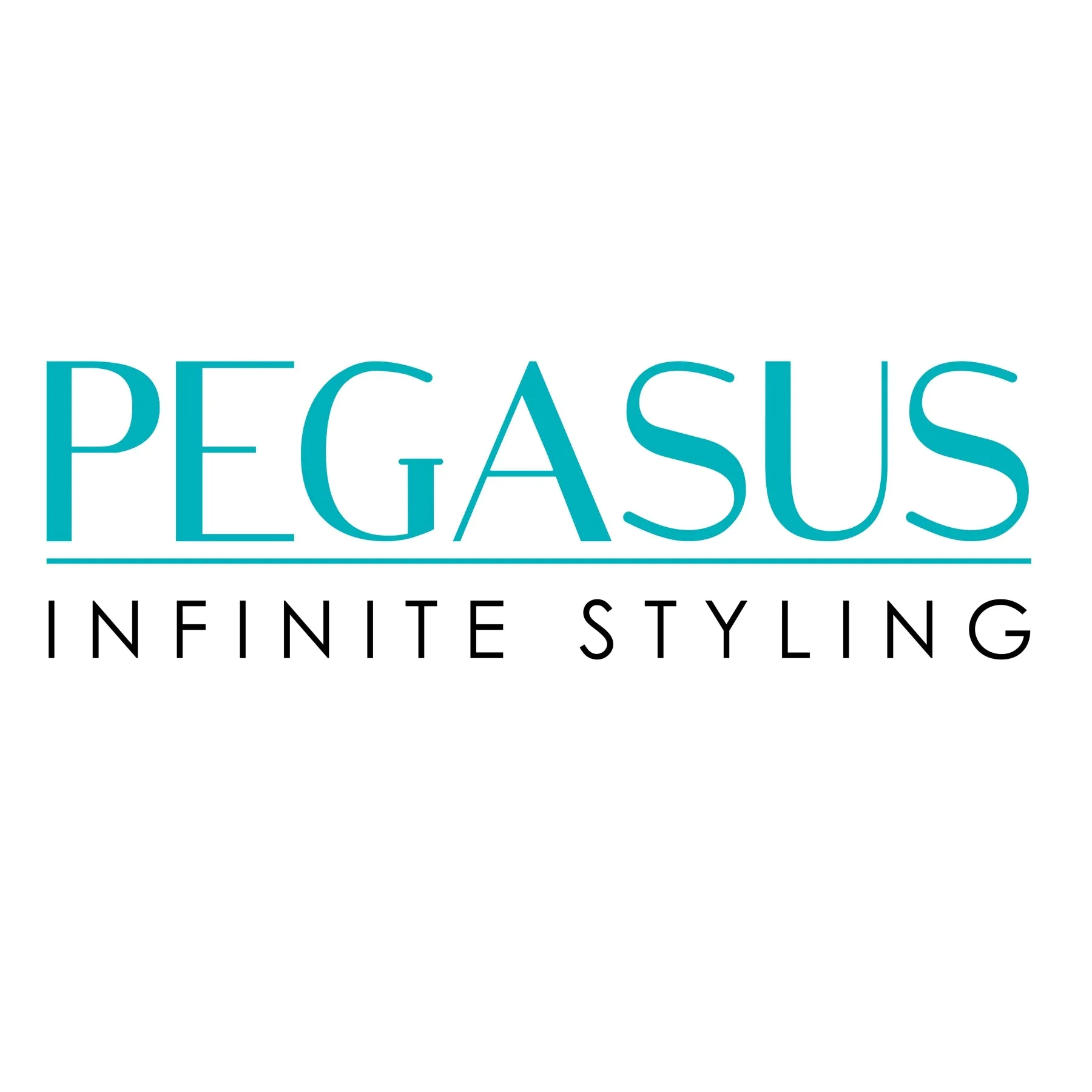 Pegasus 132, 8.5in Hard Rubber Course Tooth Rat Tail Comb with Sectioning, Smooth Edges, Anti Static, Heat and Chemically Resistant, Great for Parting, Coloring Hair | Peines de goma dura - Black