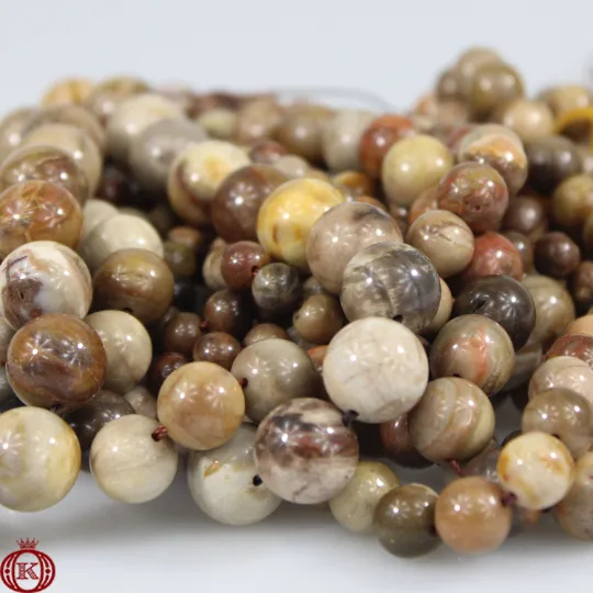Petrified Wood Beads Smooth Round