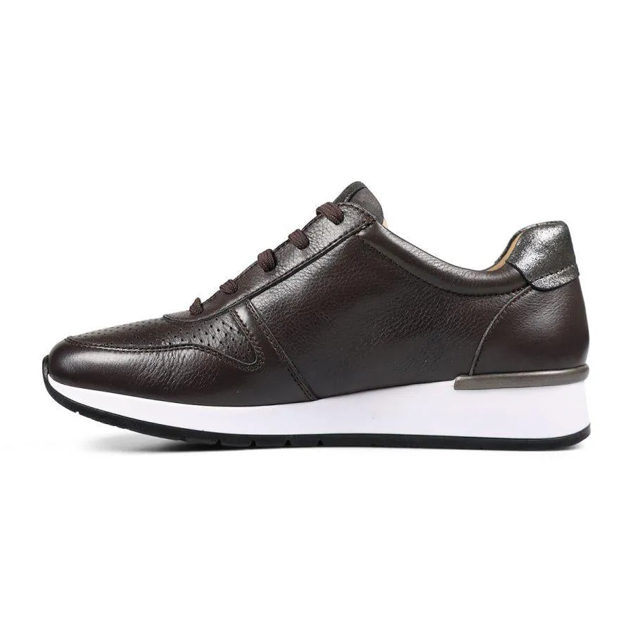 Van Dal 3516 Tess Trainers - Charcoal Leather